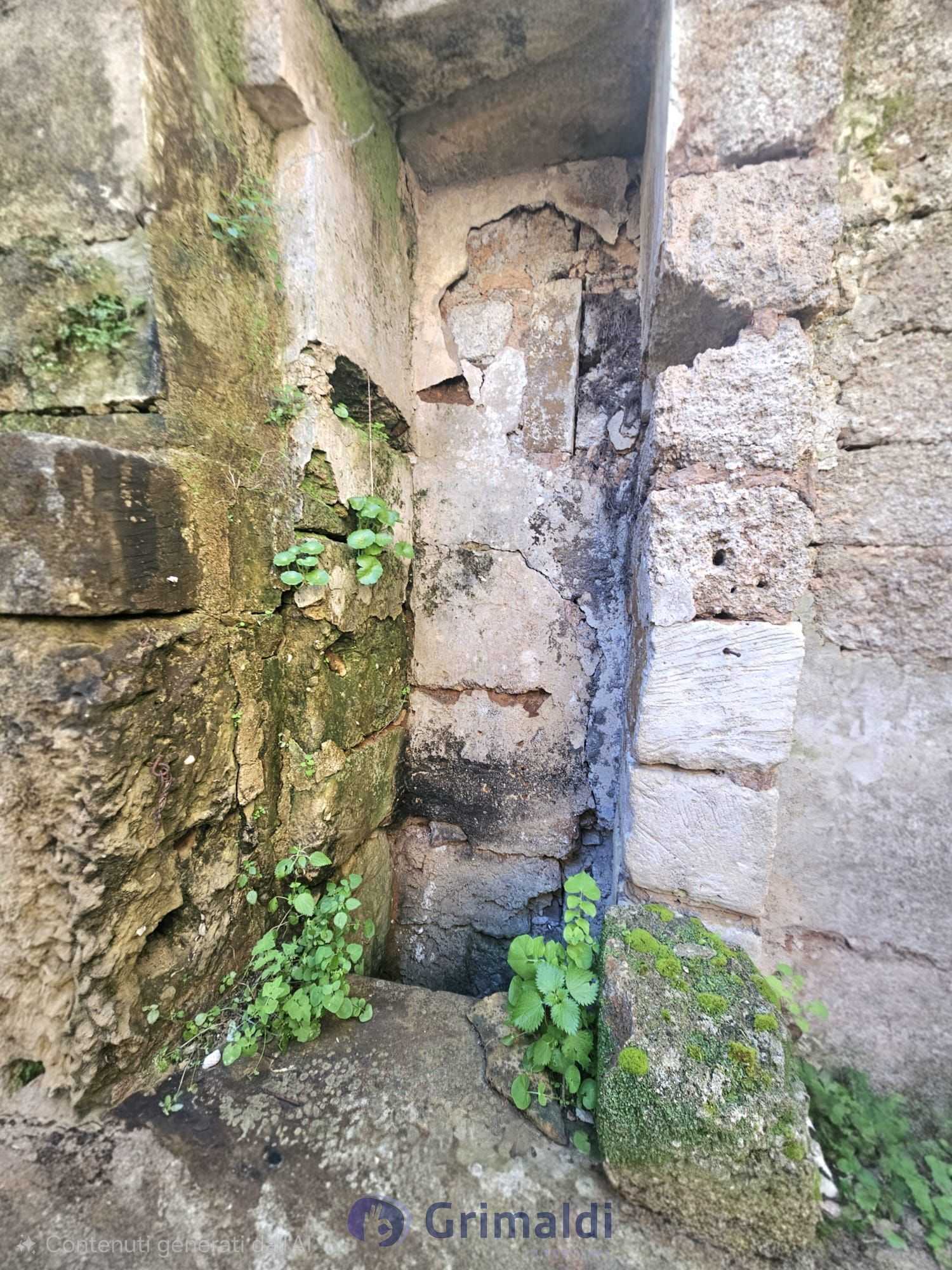  - foto 12