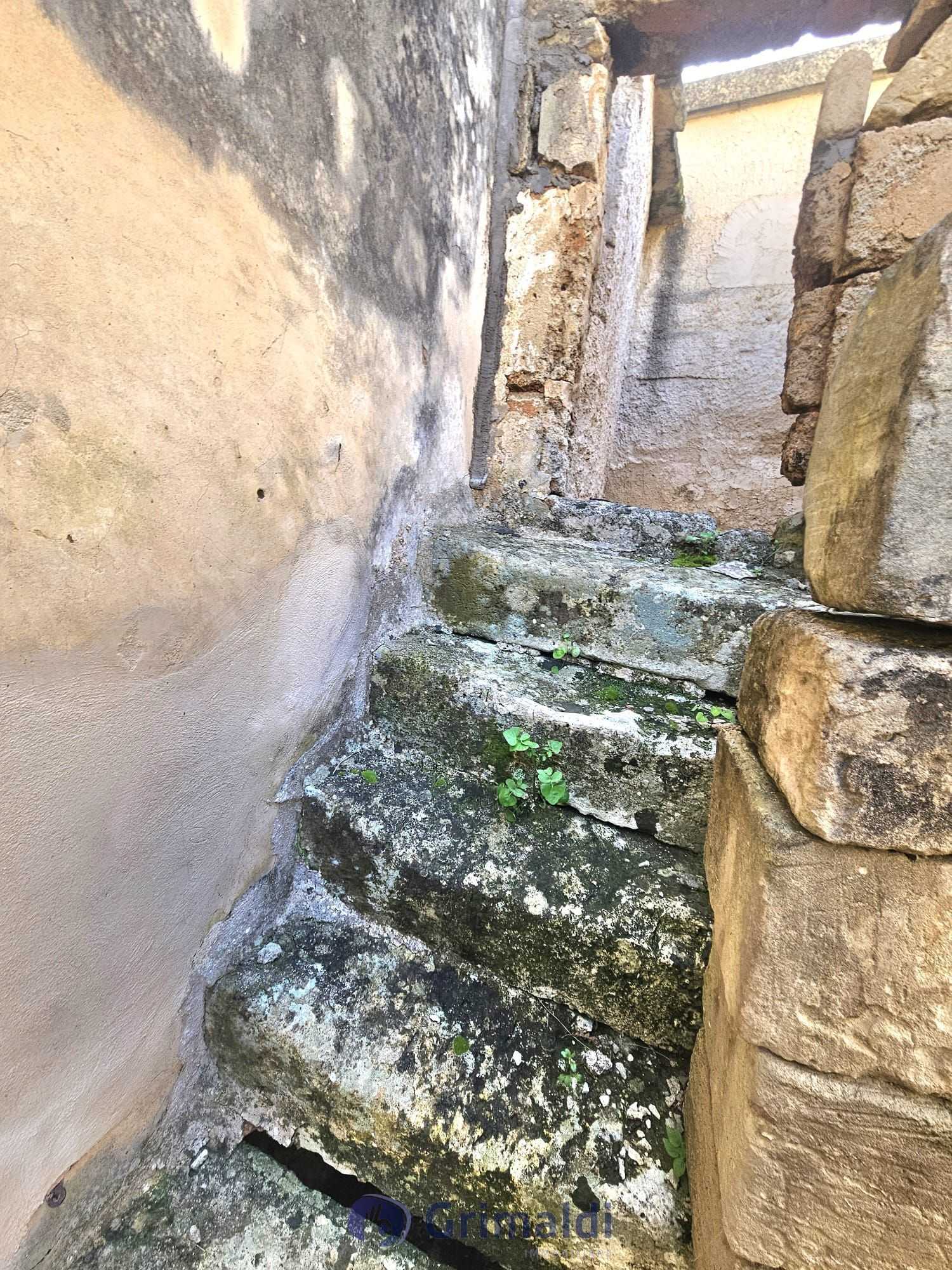  - foto 16