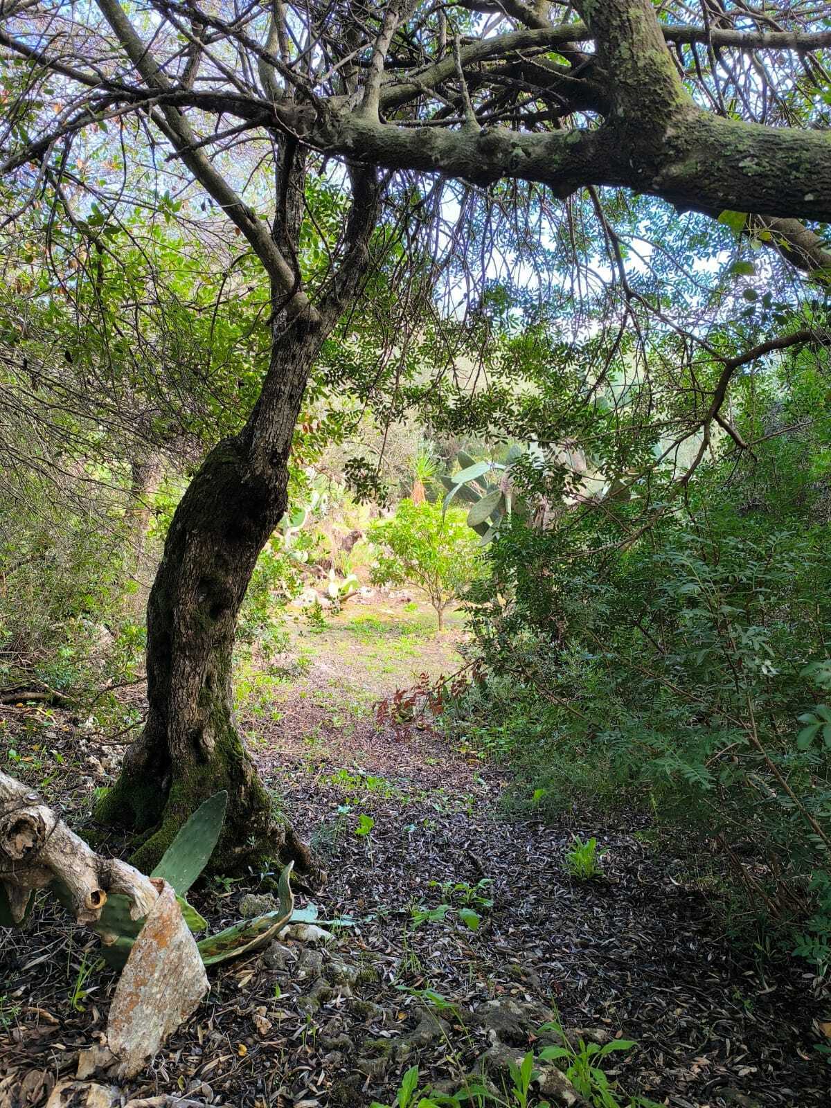  - foto 27