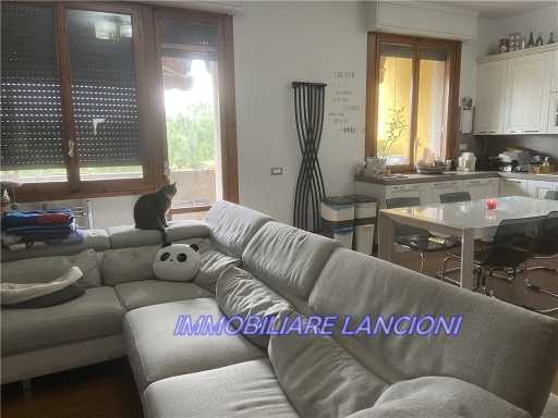  - foto 13