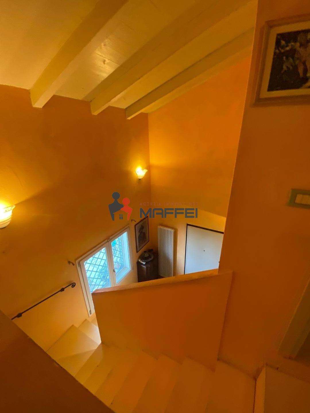  - foto 23