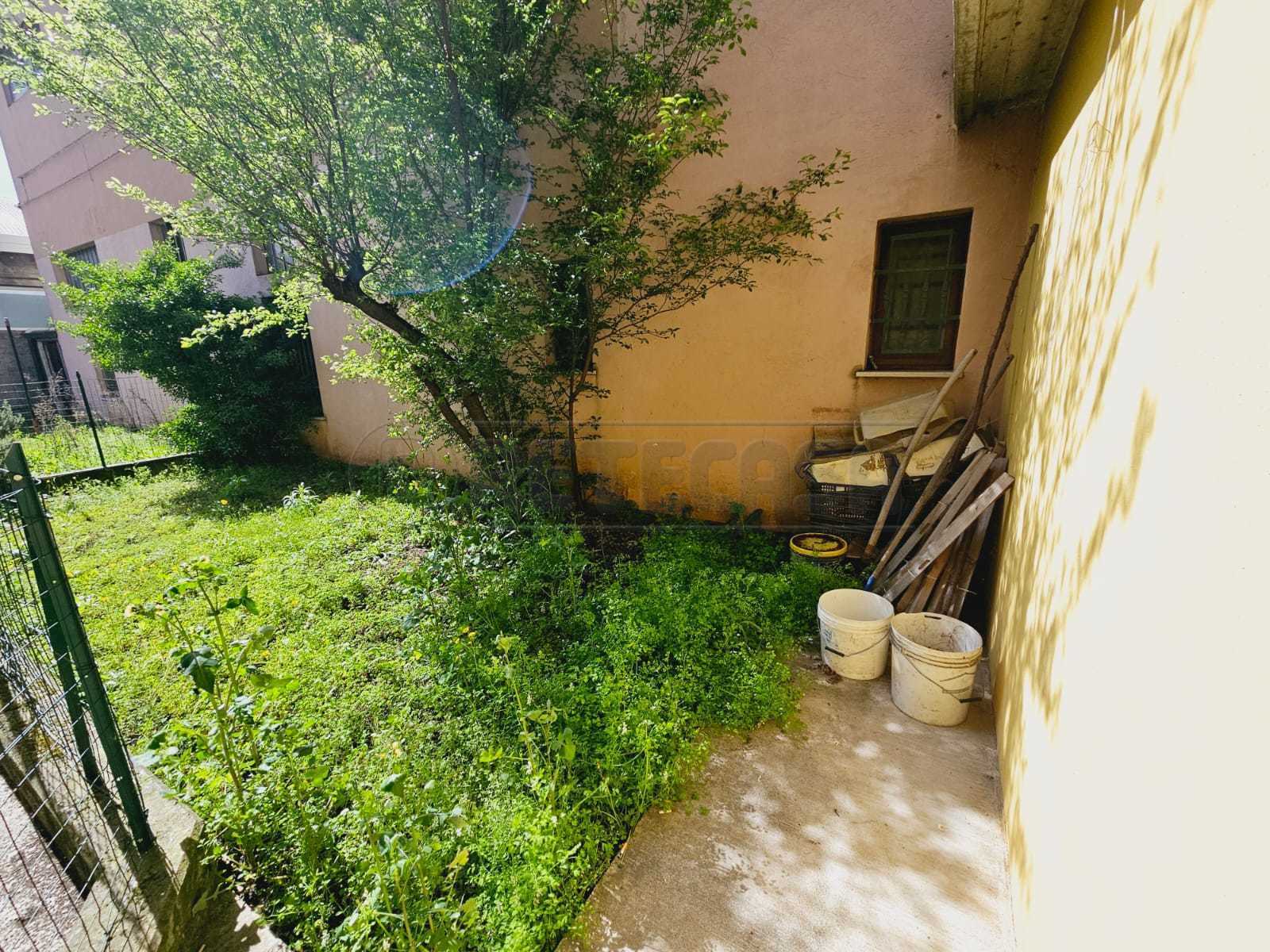  - foto 13