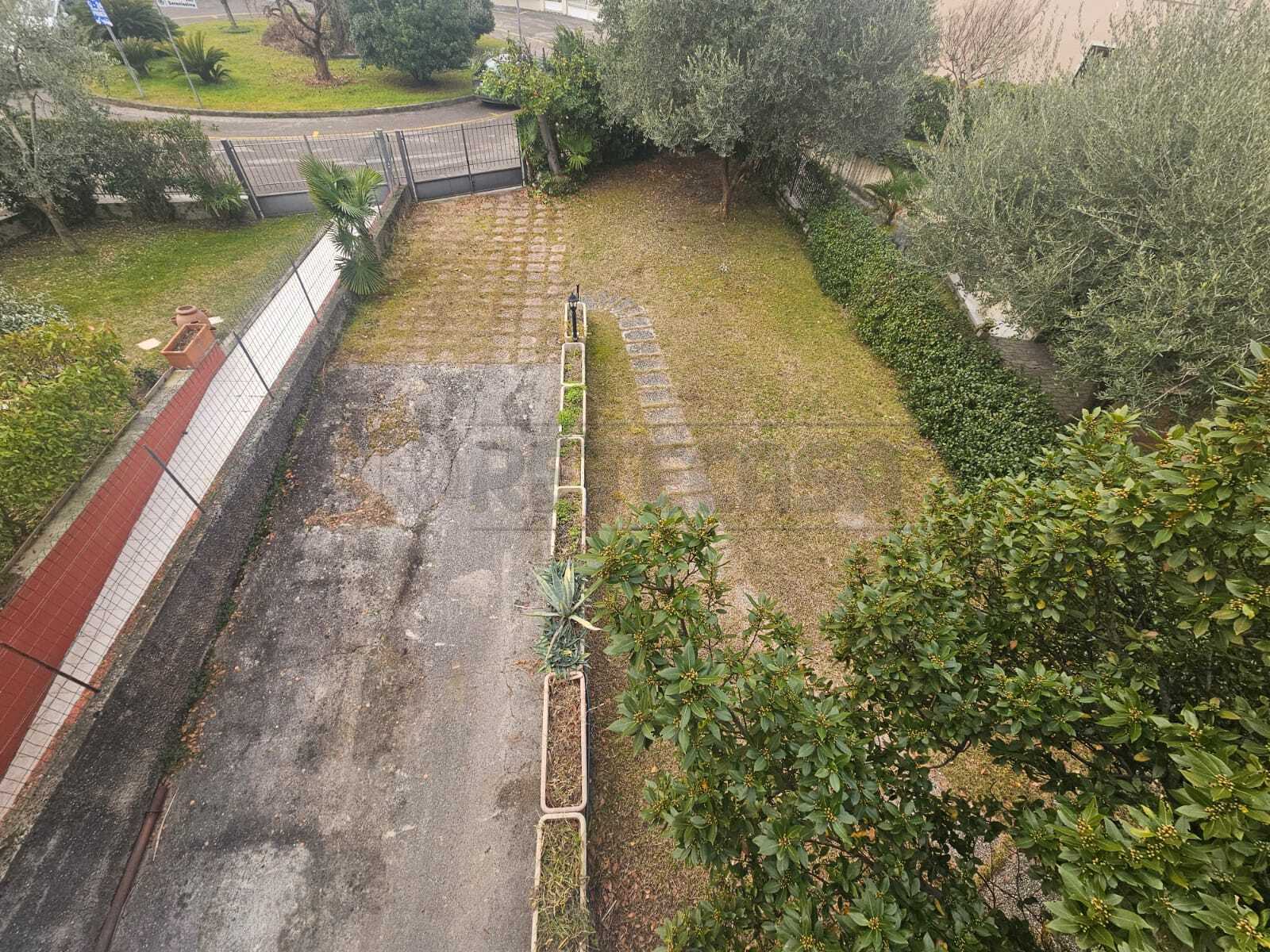  - foto 42