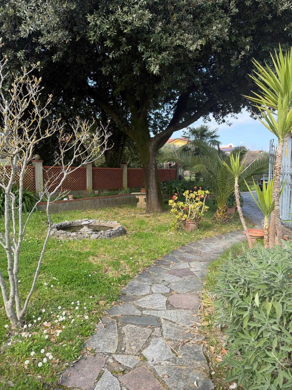  - foto 36
