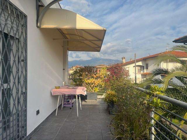  - foto 13