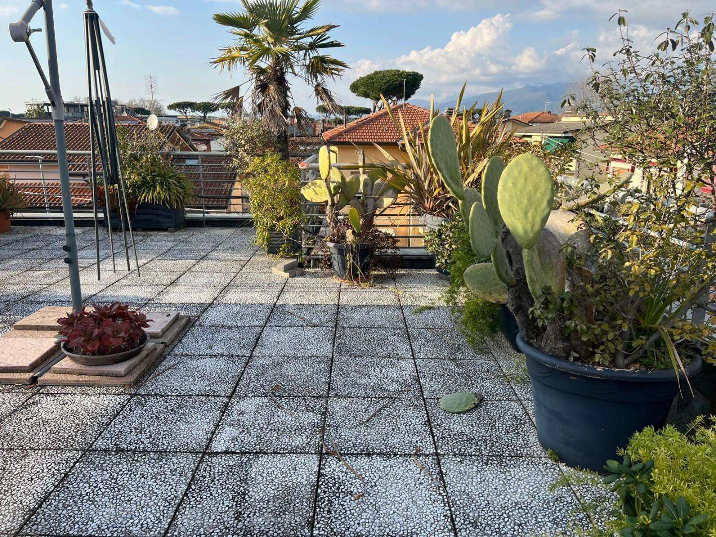  - foto 41