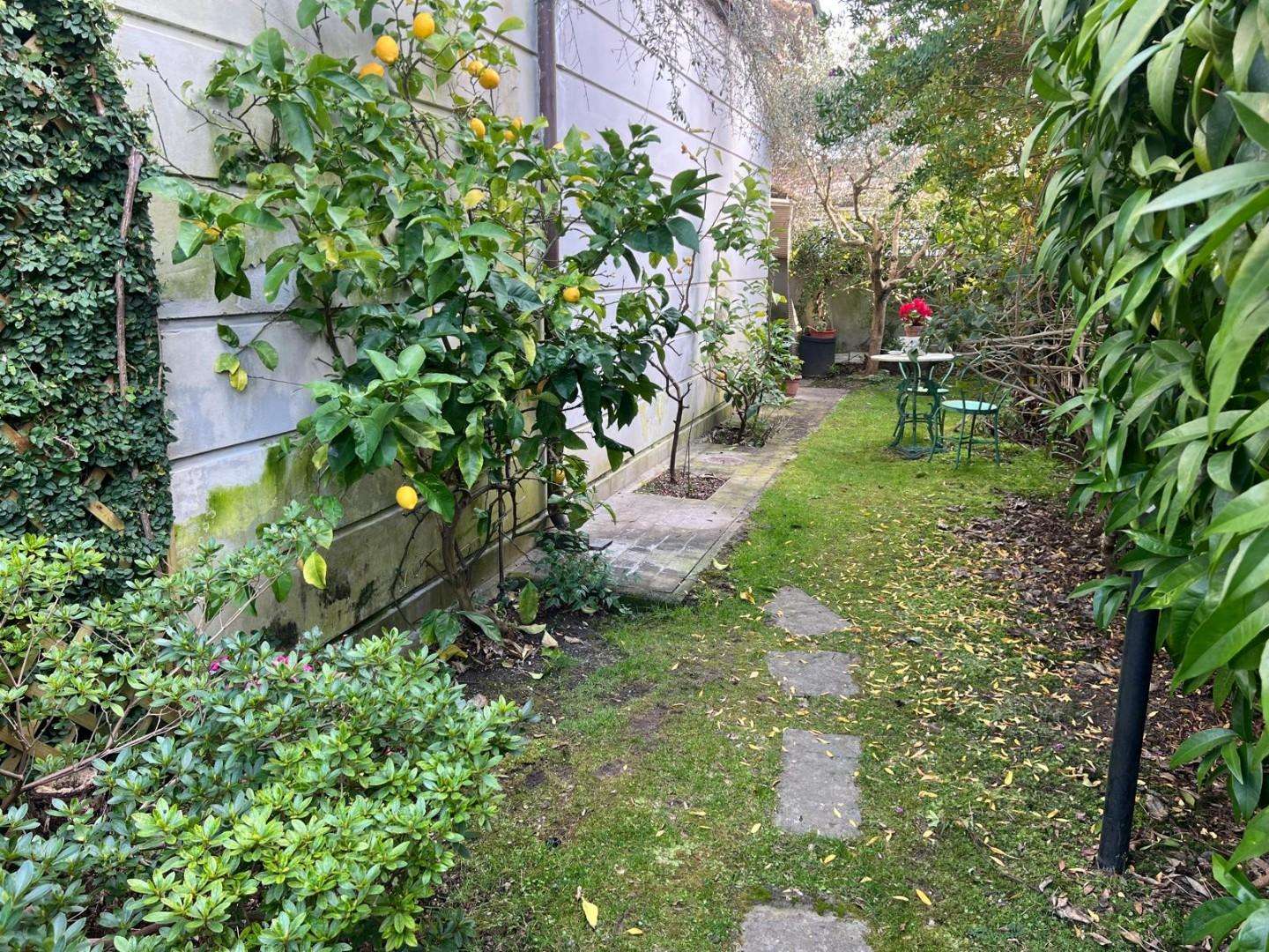  - foto 8