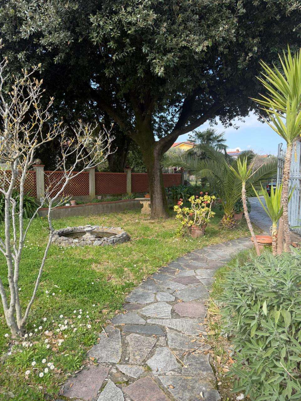  - foto 36