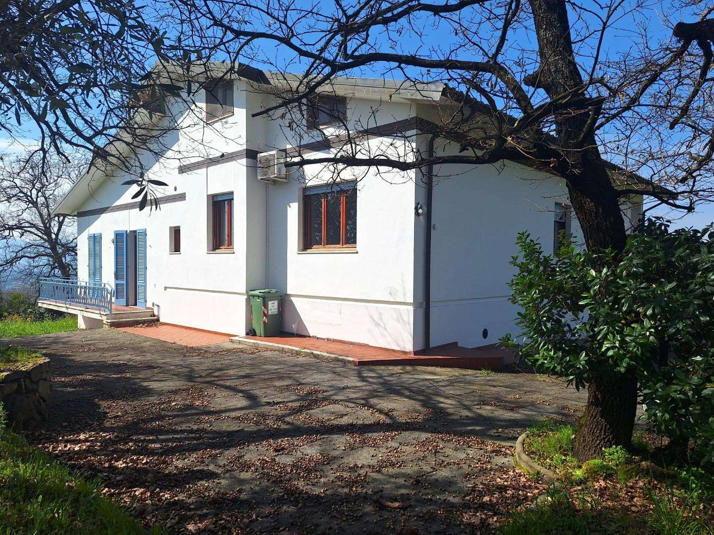  - foto 52