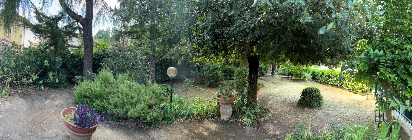  - foto 19