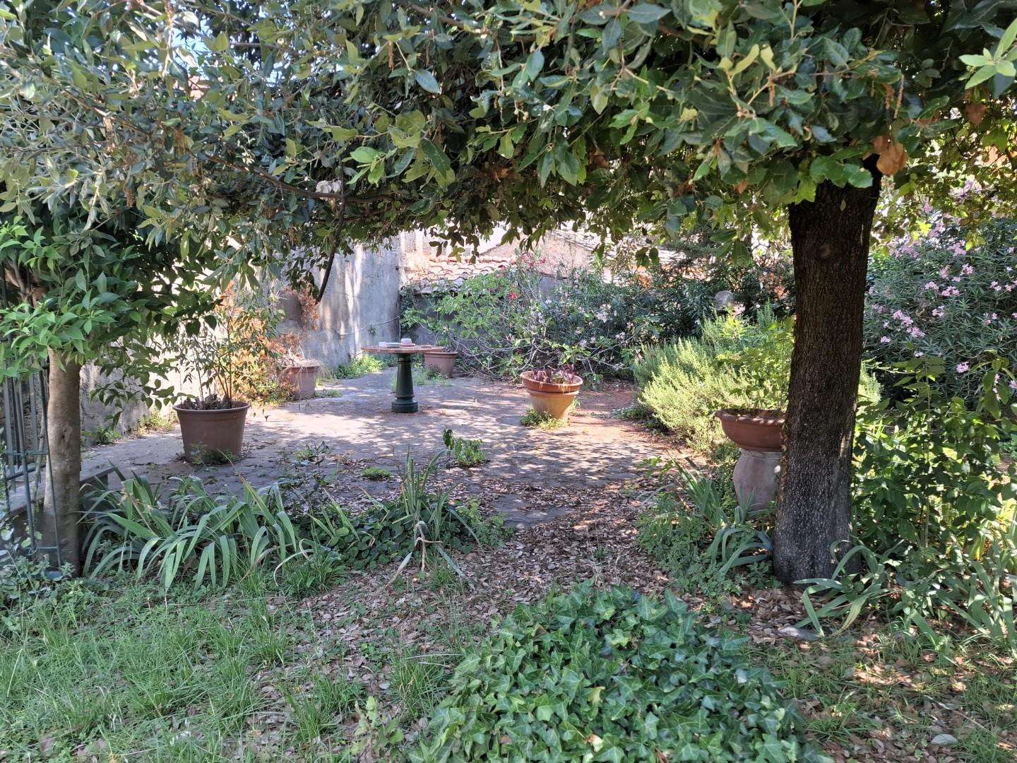  - foto 24