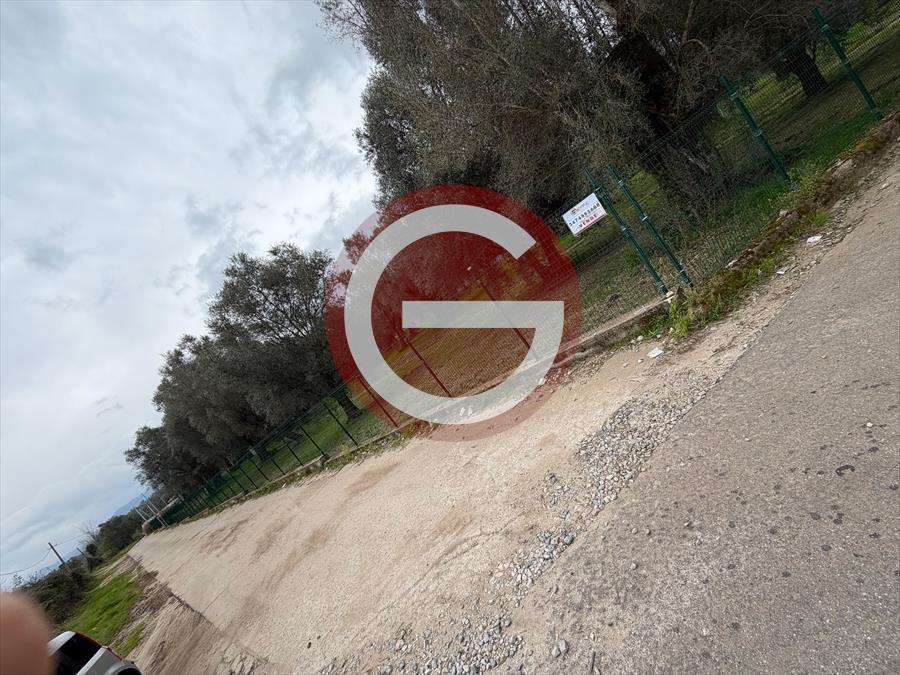  - foto 12