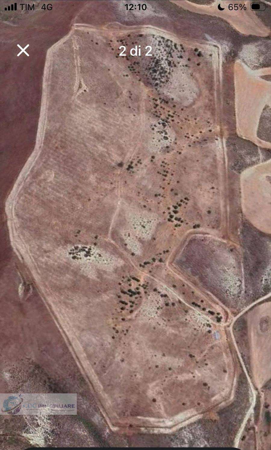 Terreno agricolo conrtrada Mannifarina, Castronovo di Sicilia
