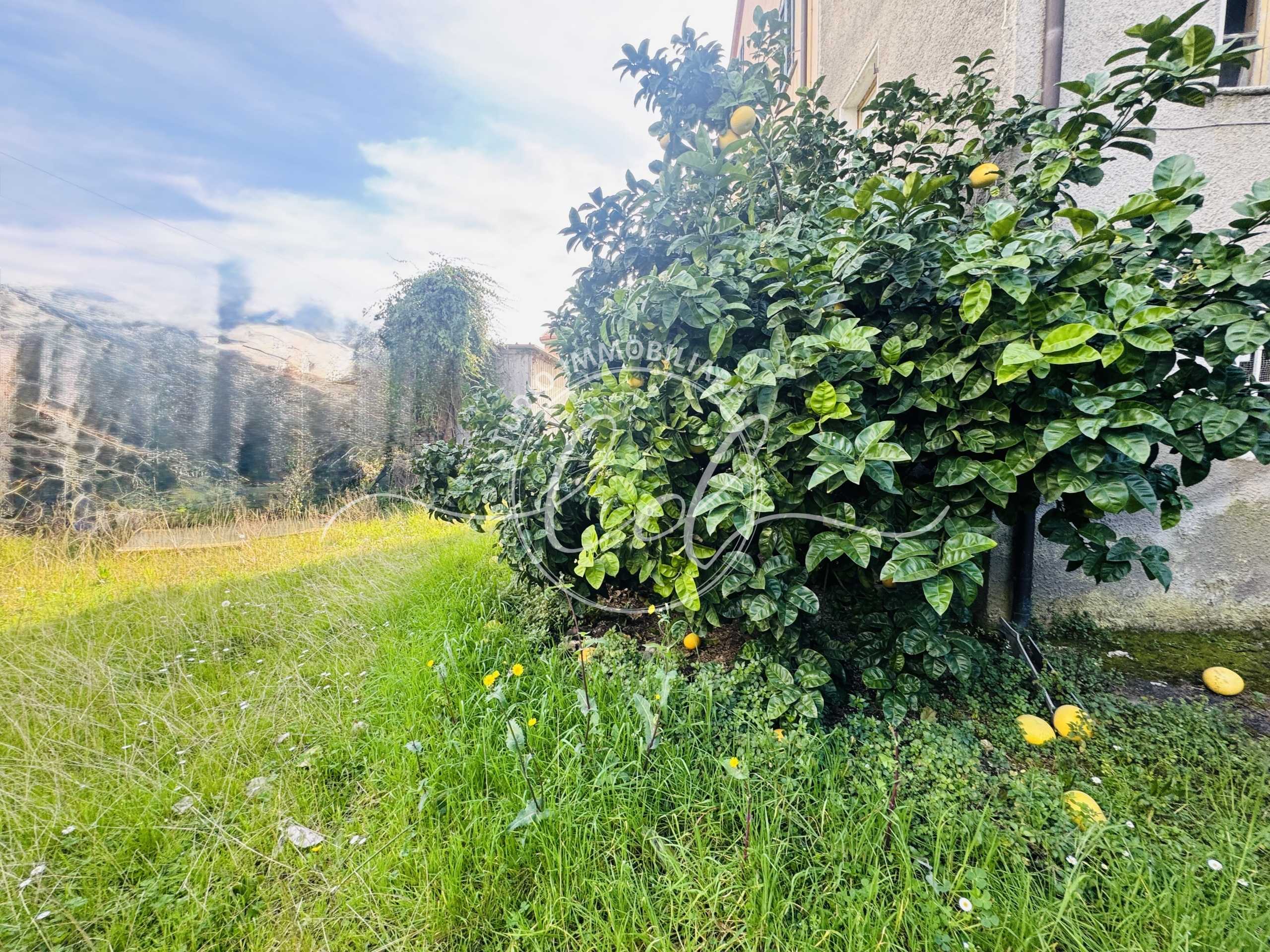  - foto 15