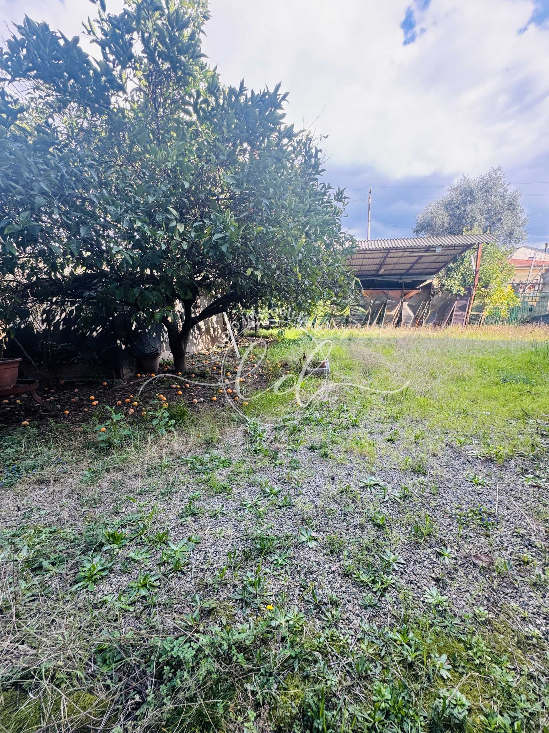  - foto 28