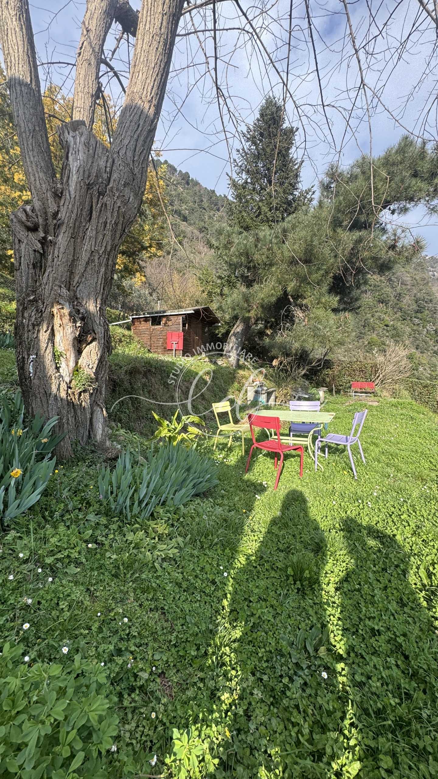  - foto 14