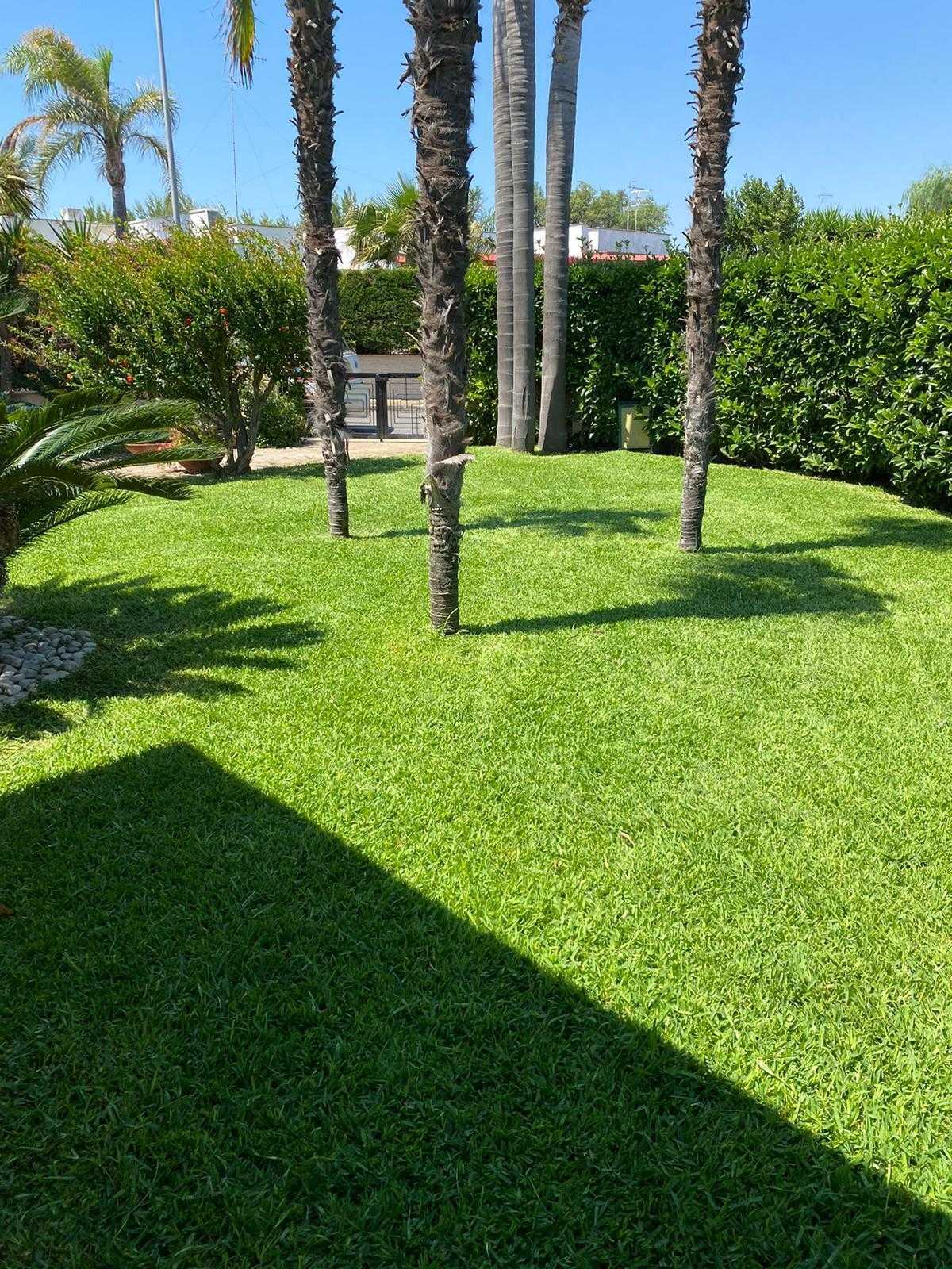  - foto 35