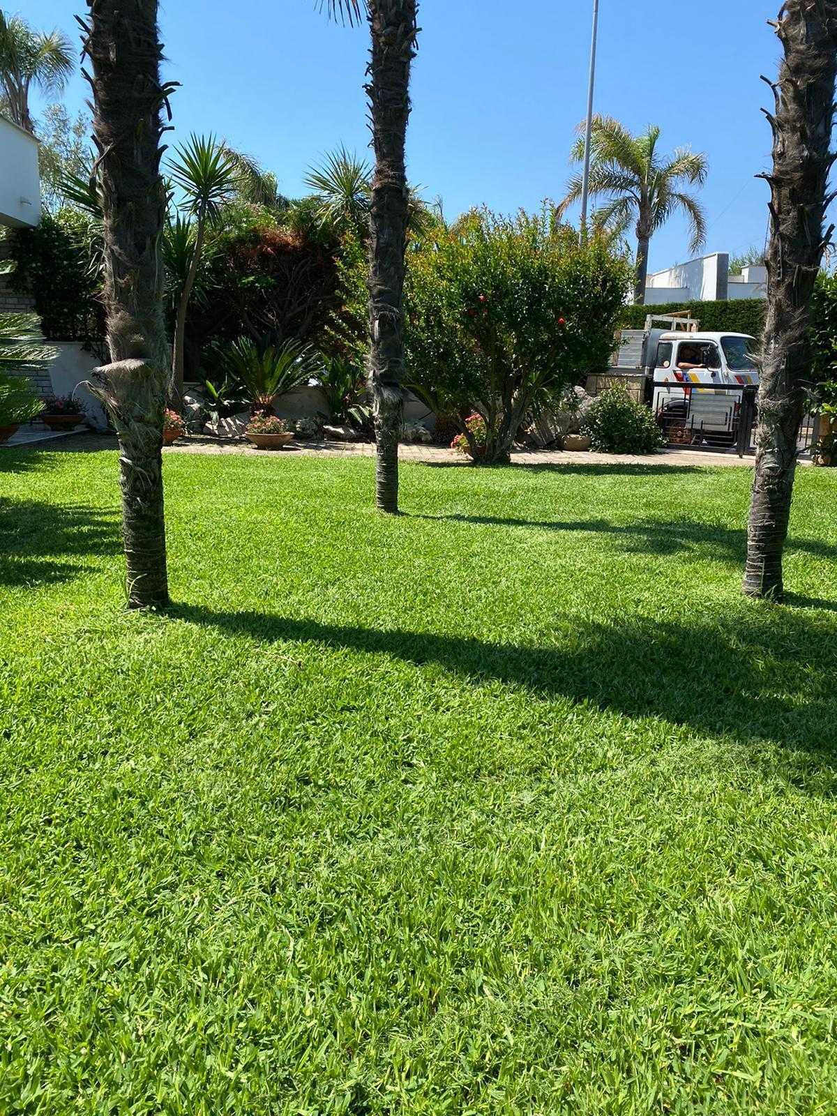  - foto 49