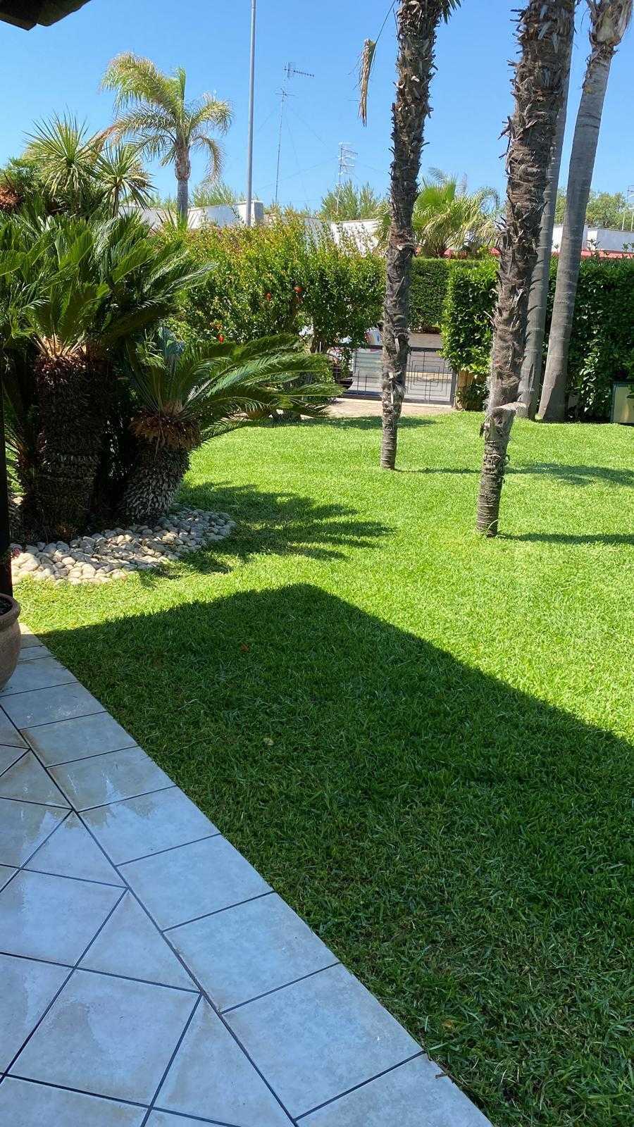  - foto 5
