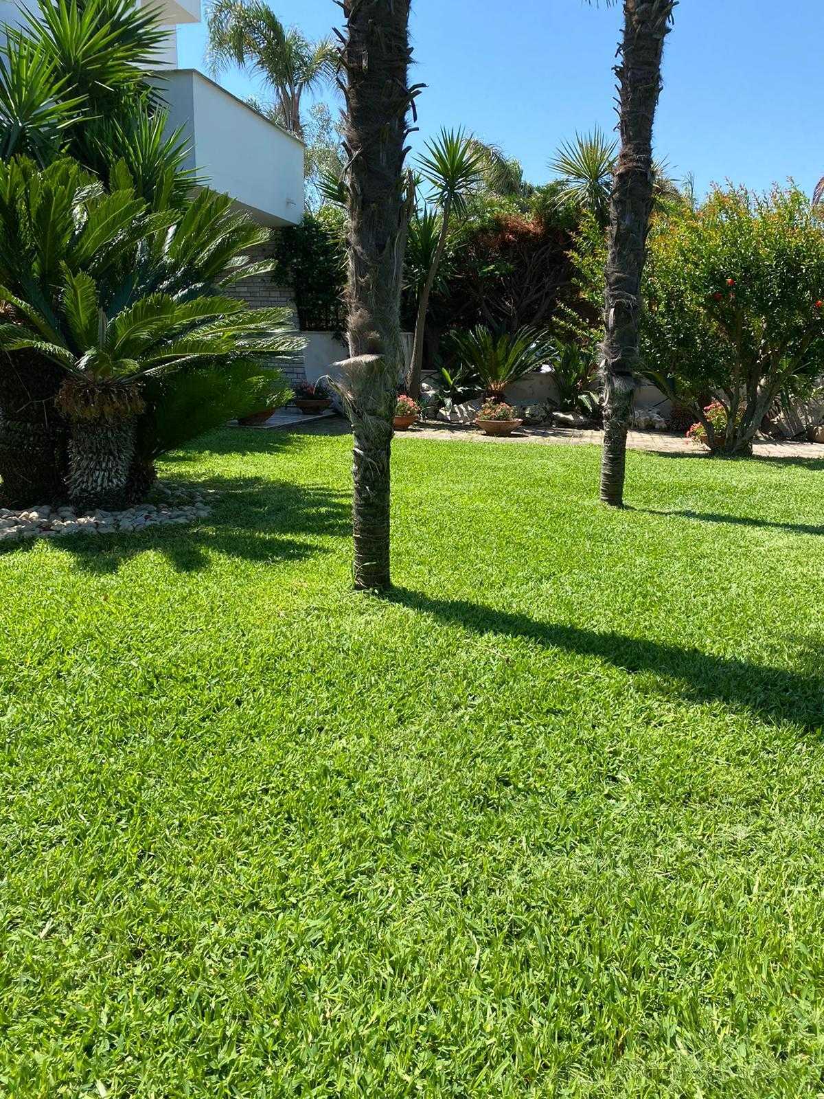  - foto 50