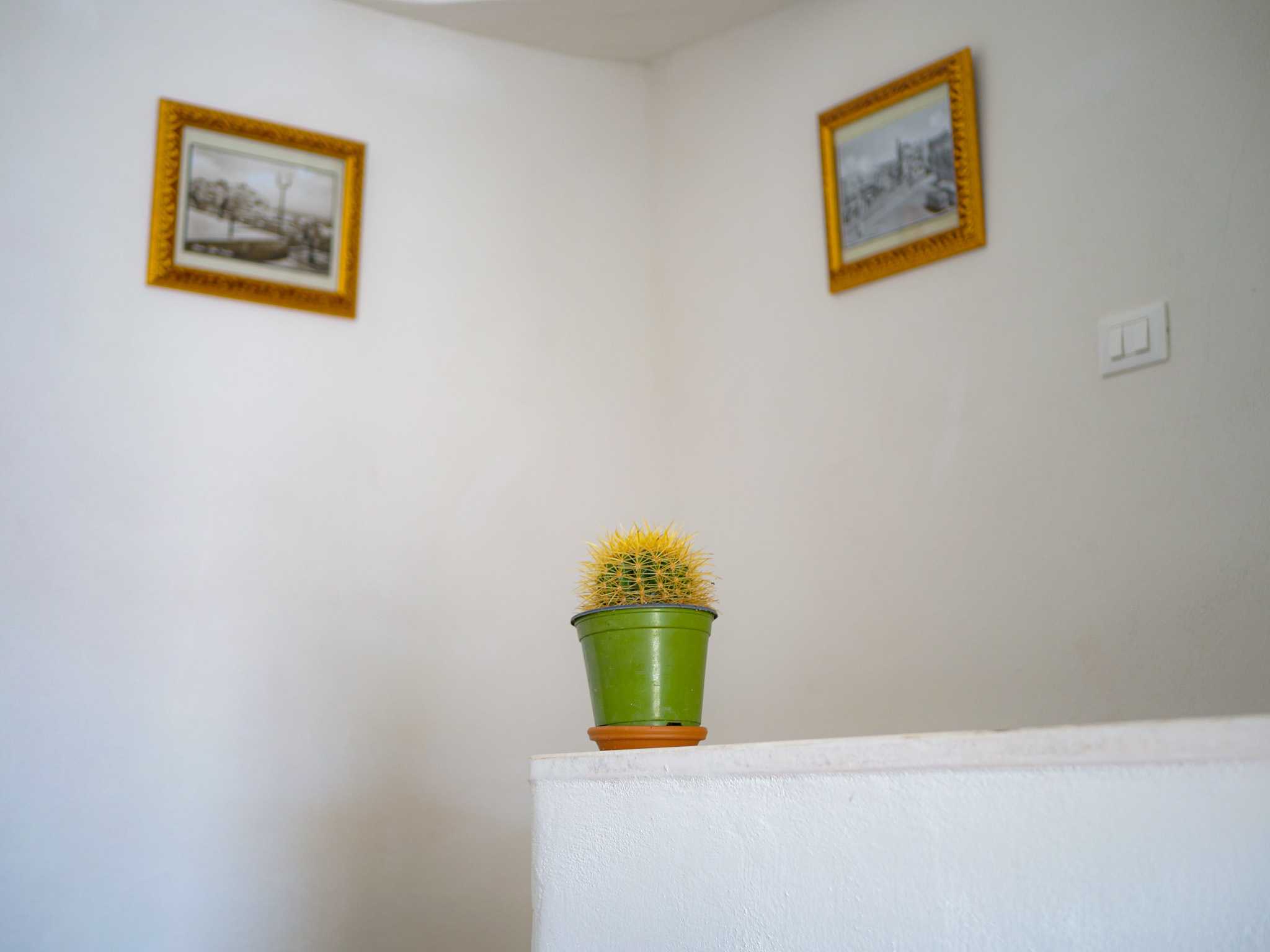  - foto 14