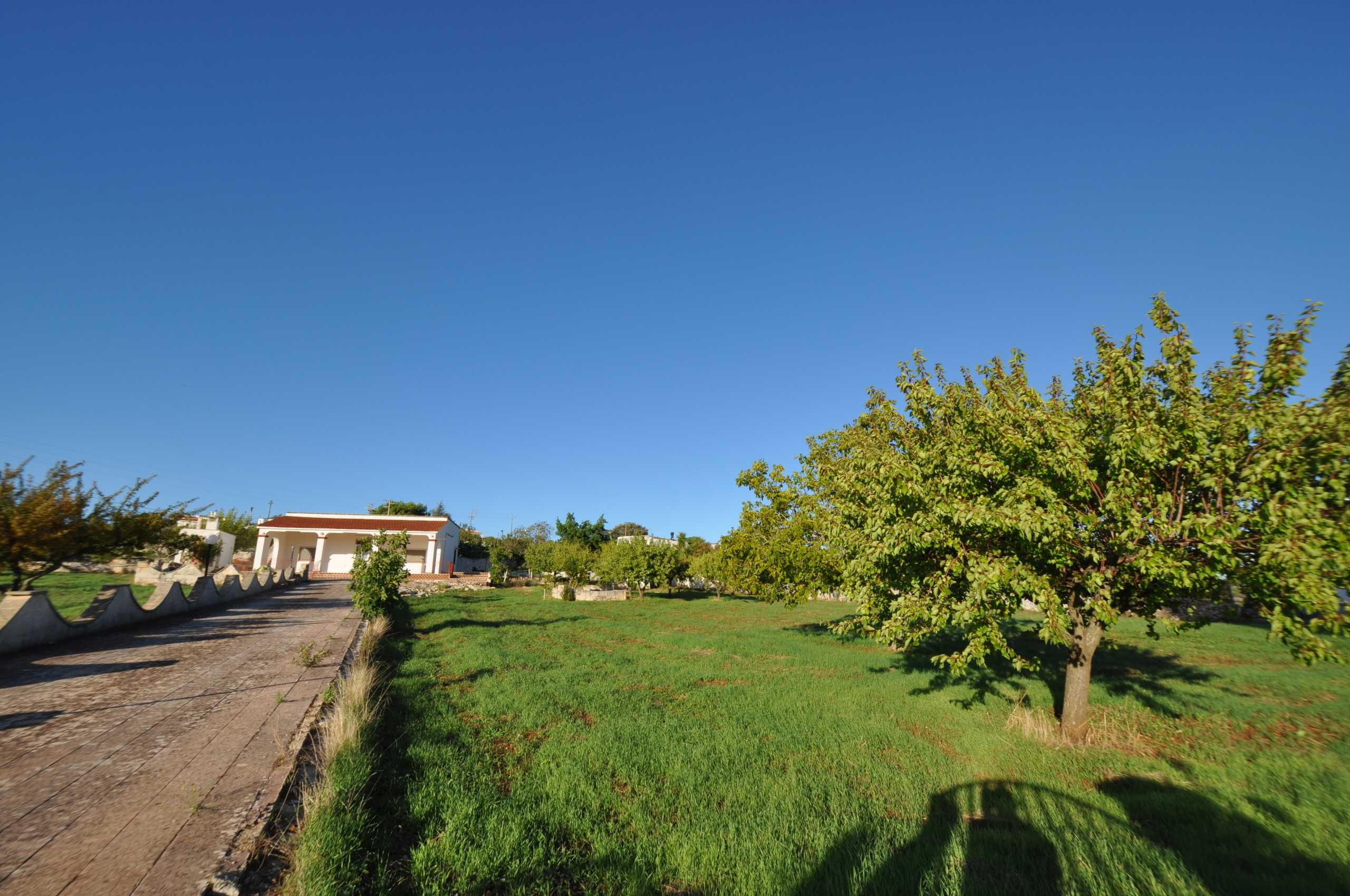  - foto 4