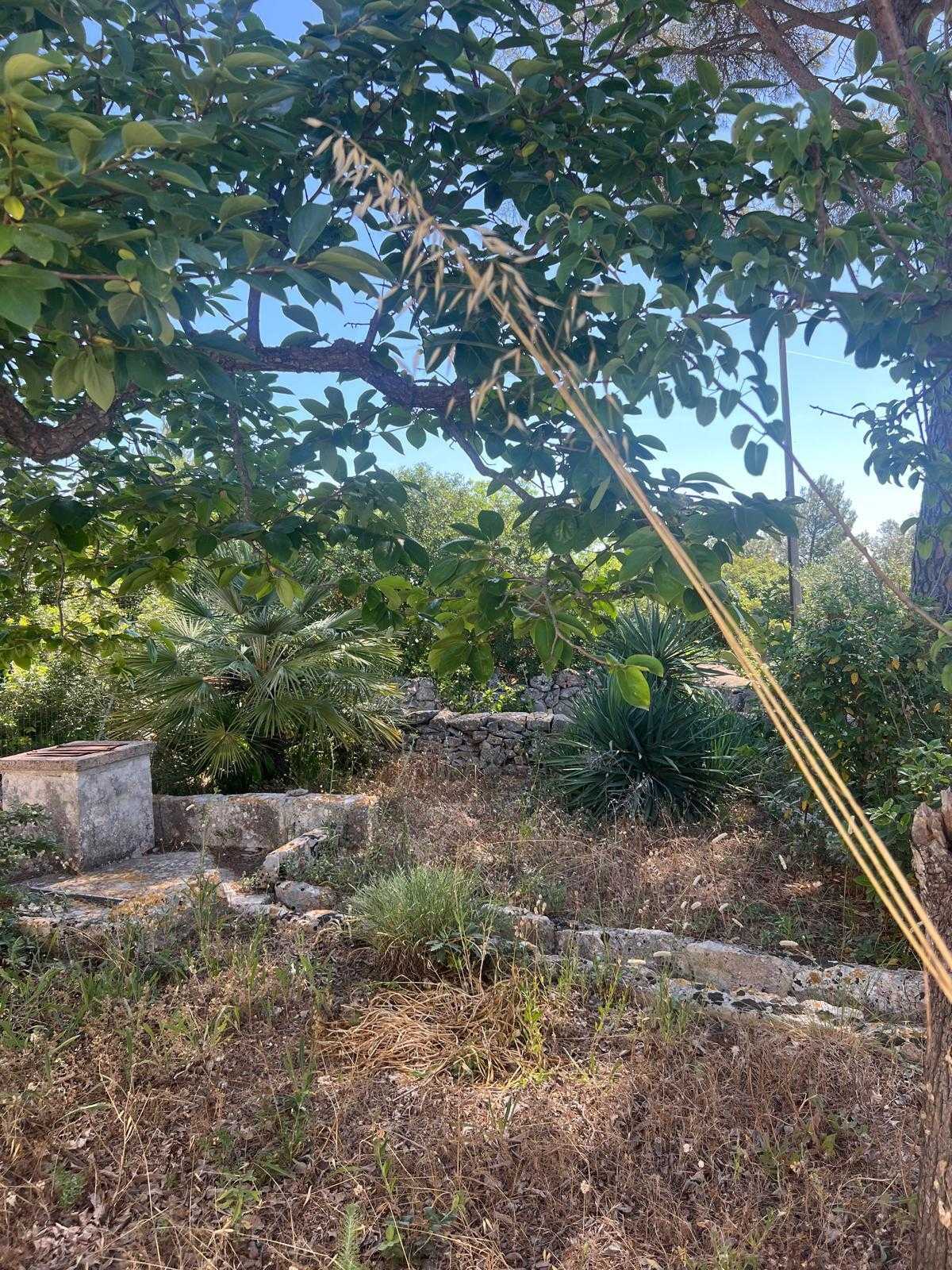  - foto 12