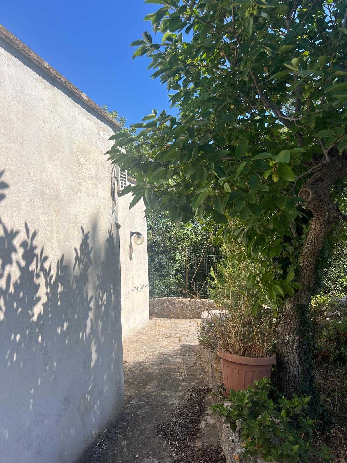  - foto 13