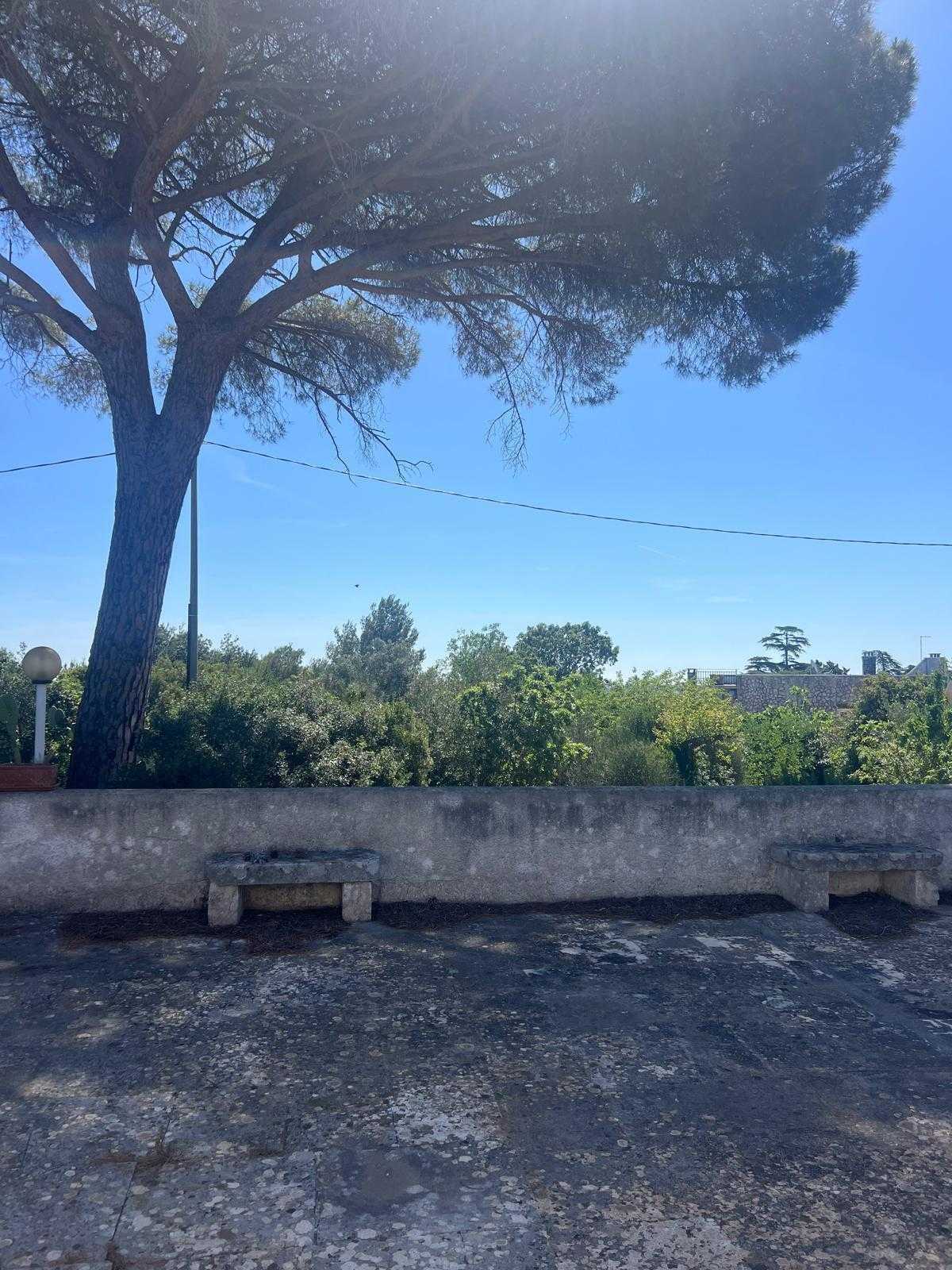  - foto 3