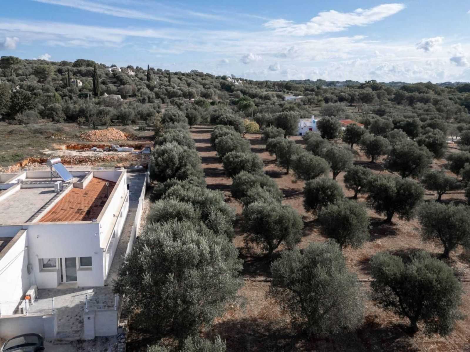  - foto 2