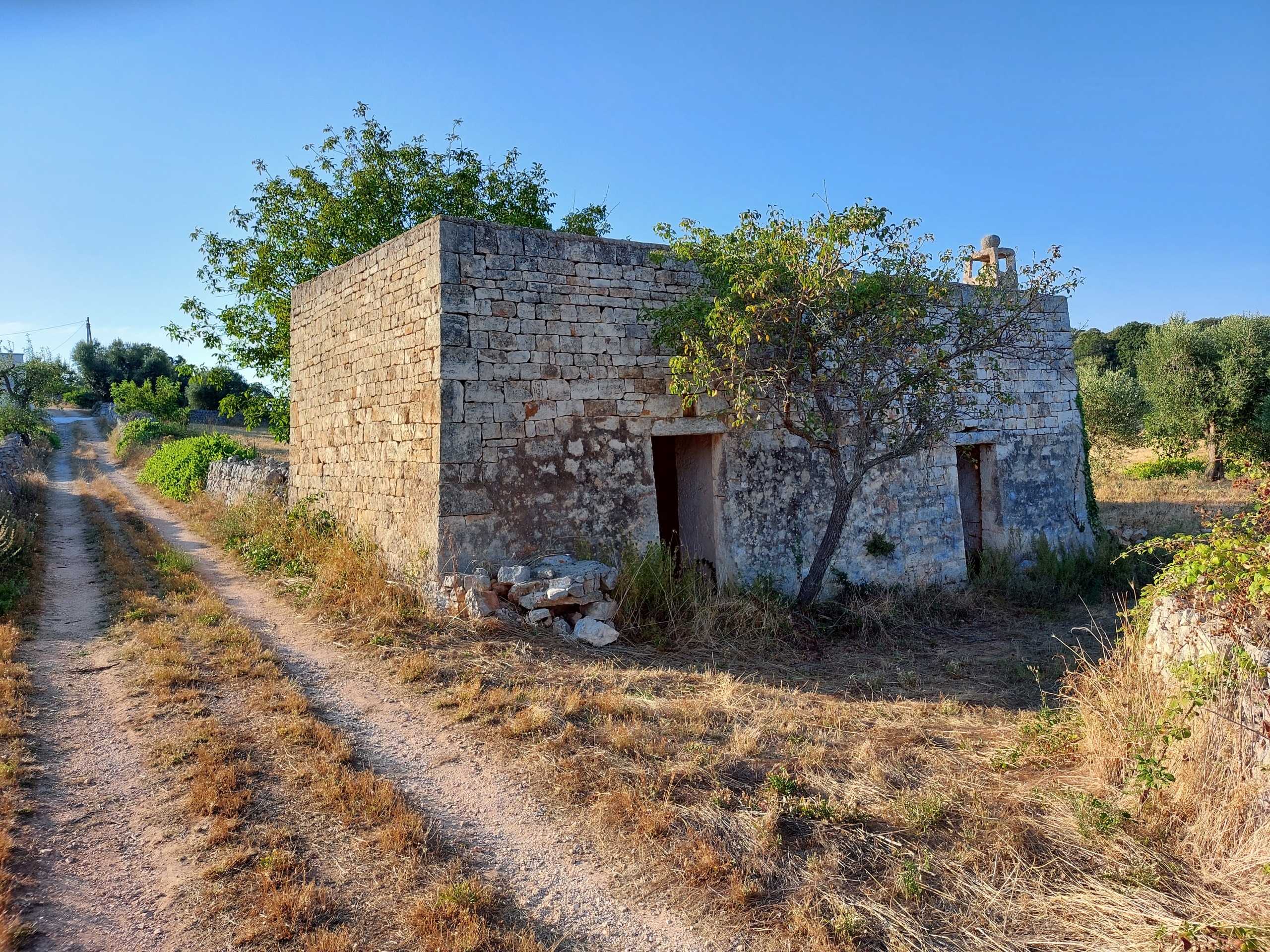  - foto 20