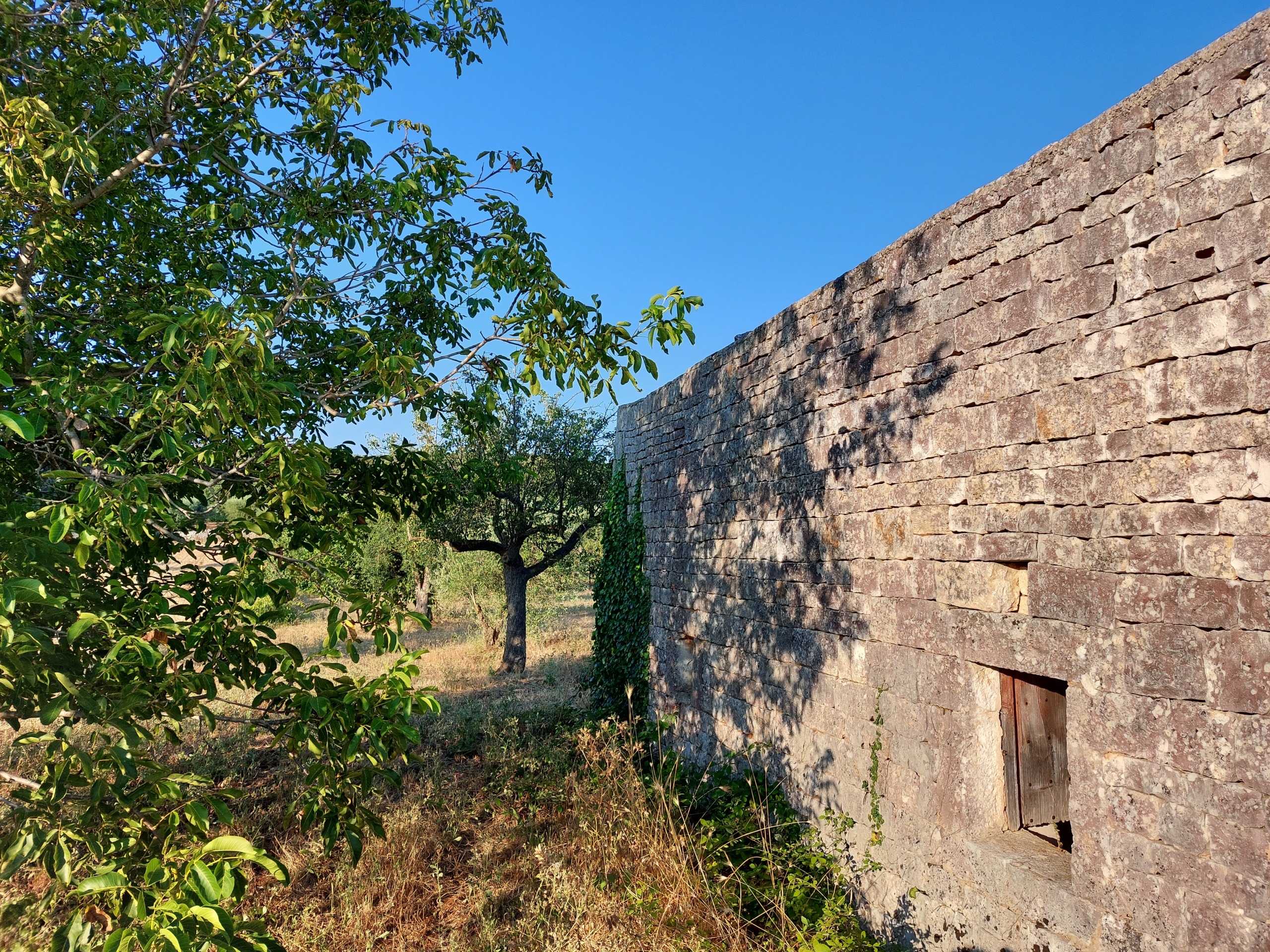  - foto 22