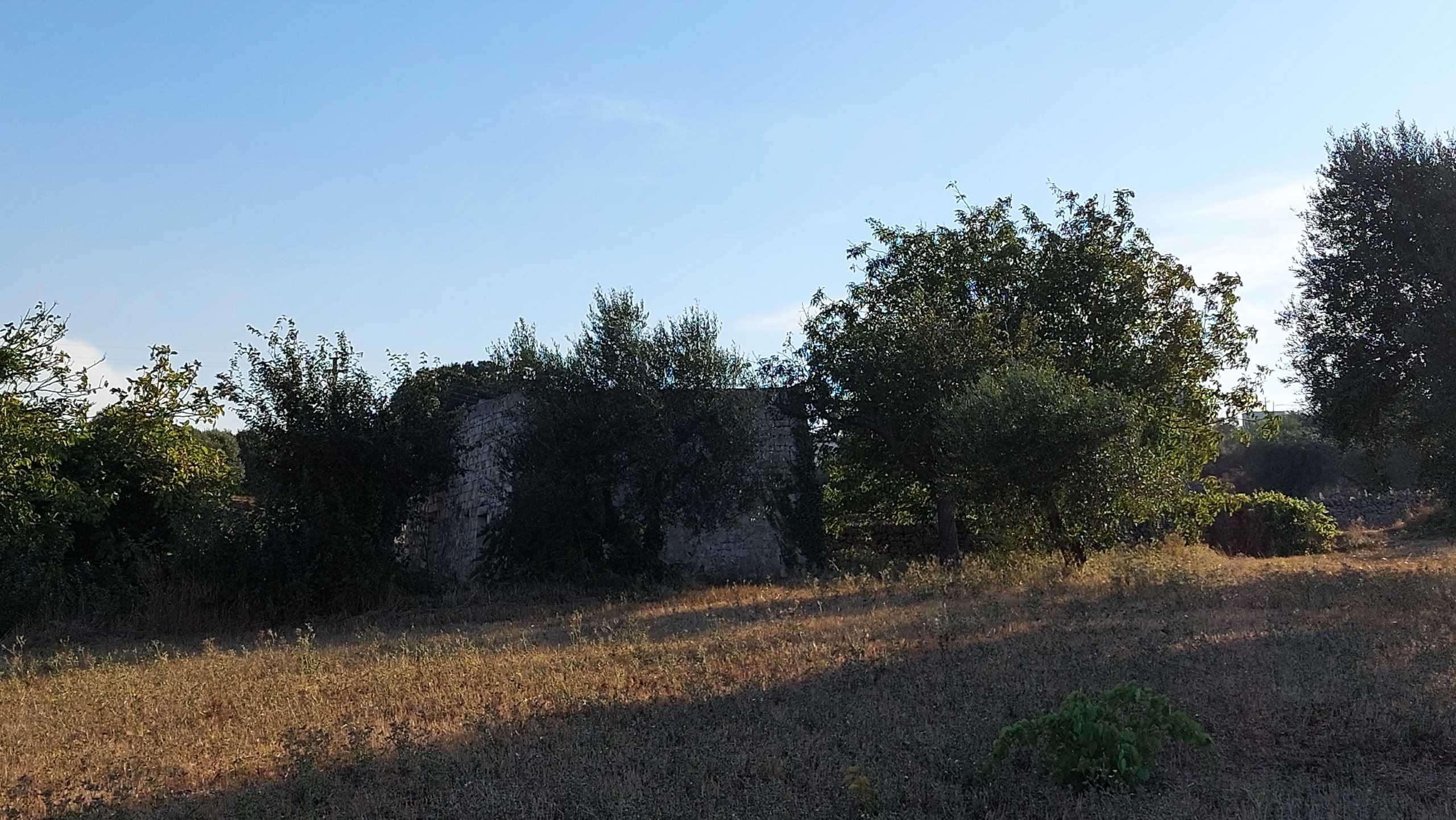  - foto 47