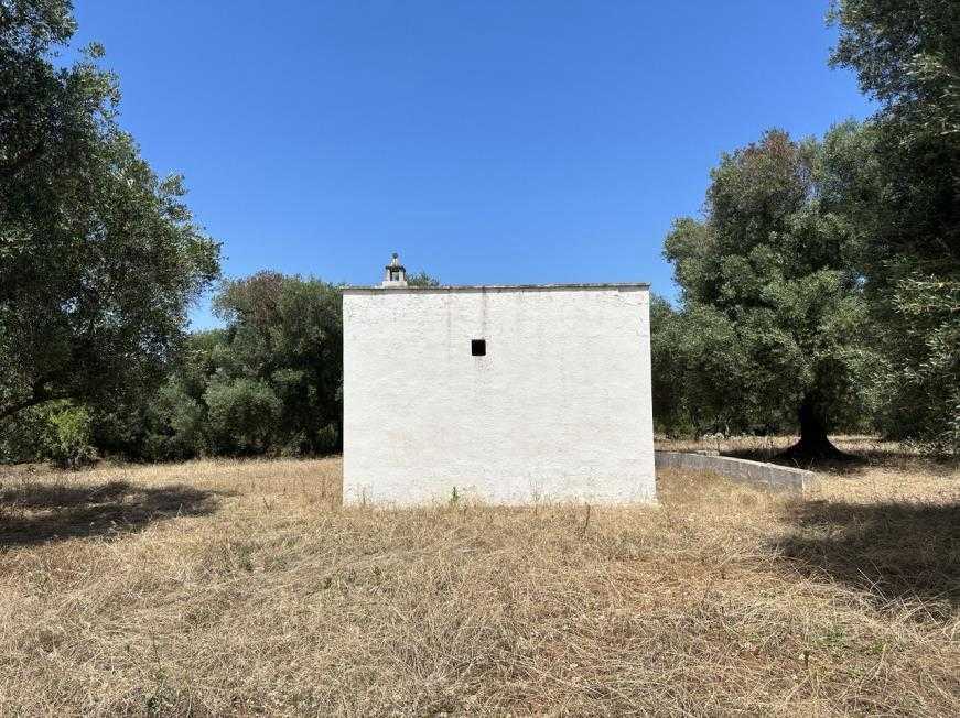  - foto 5