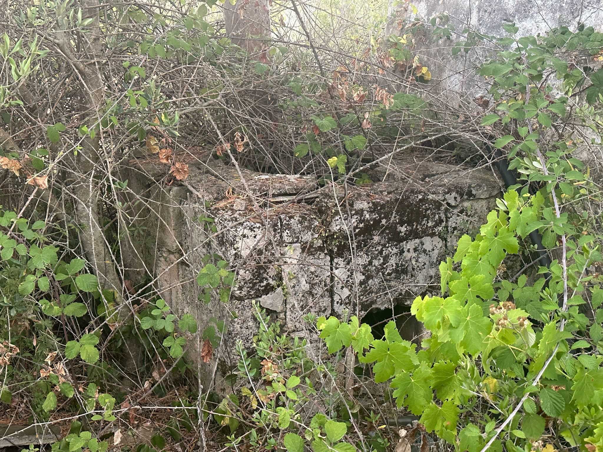  - foto 14