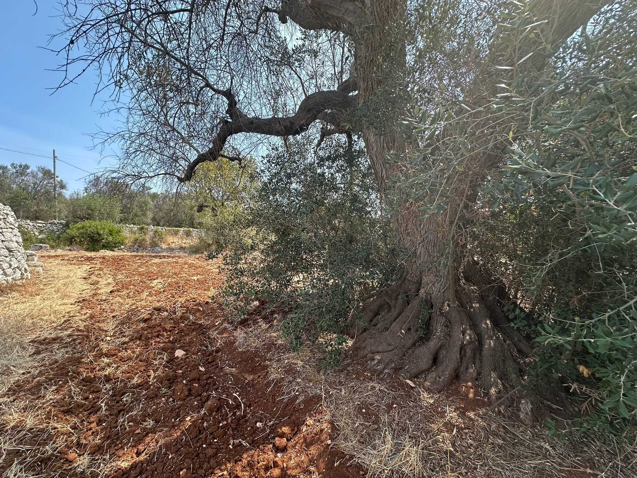  - foto 7