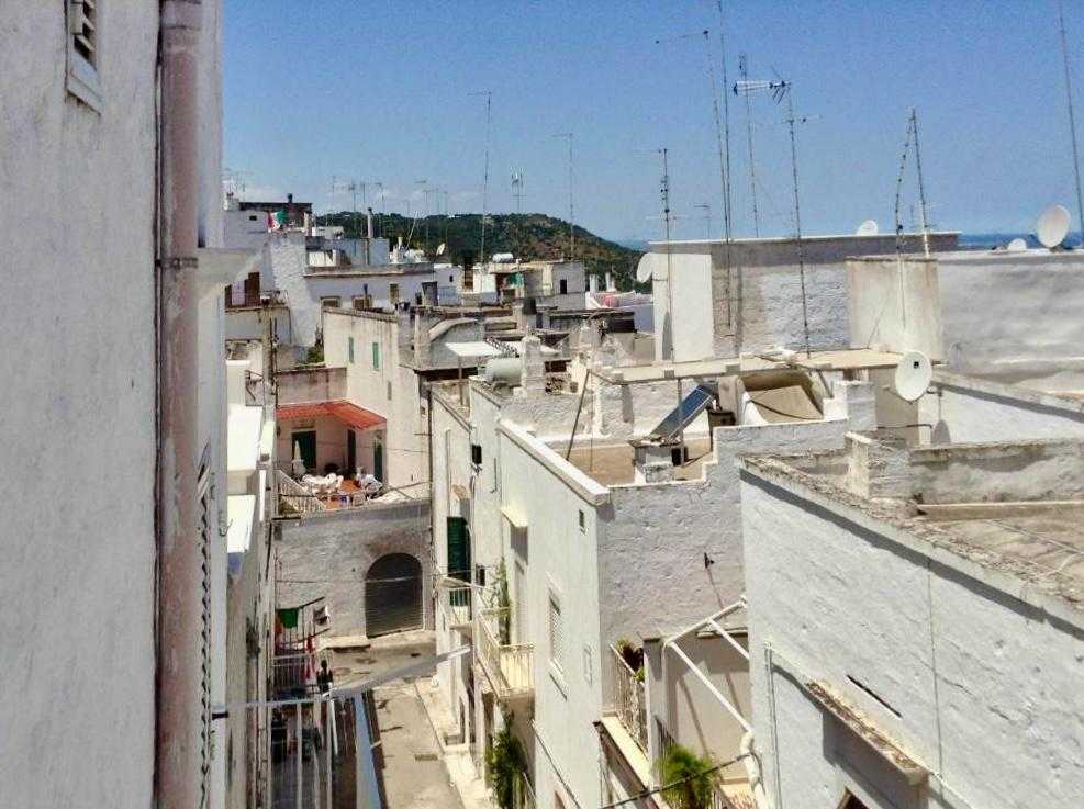 - foto 10