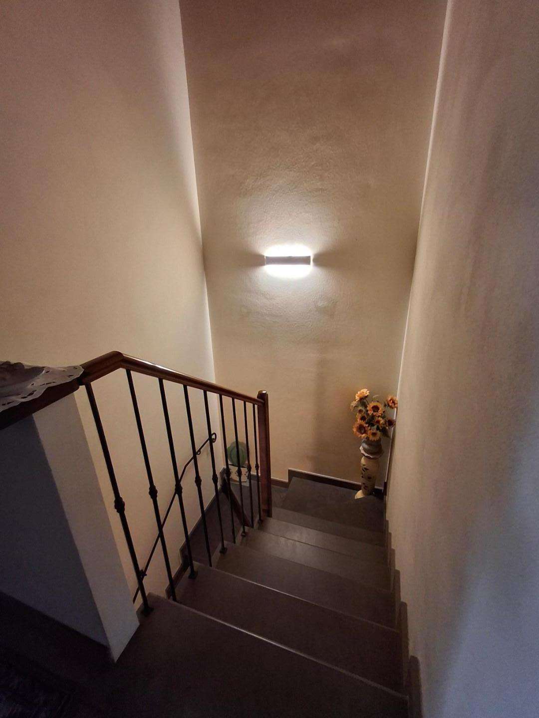  - foto 14