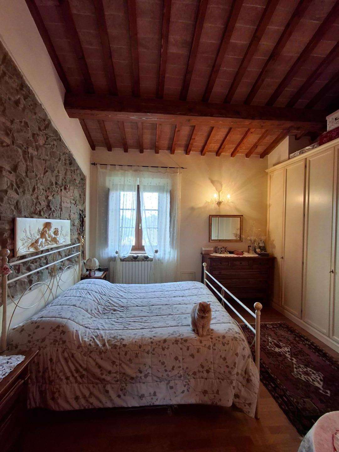 - foto 29