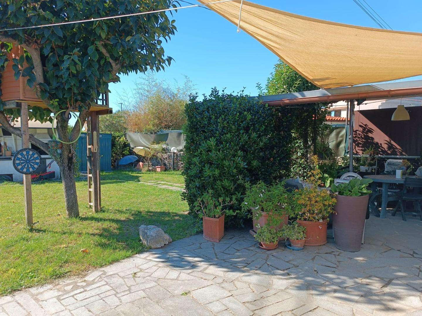  - foto 2