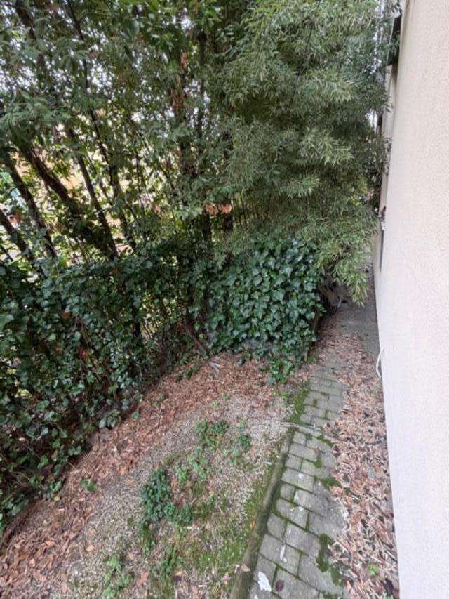 - foto 31