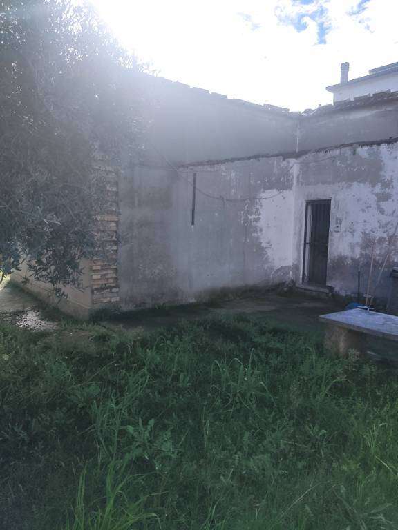  - foto 3