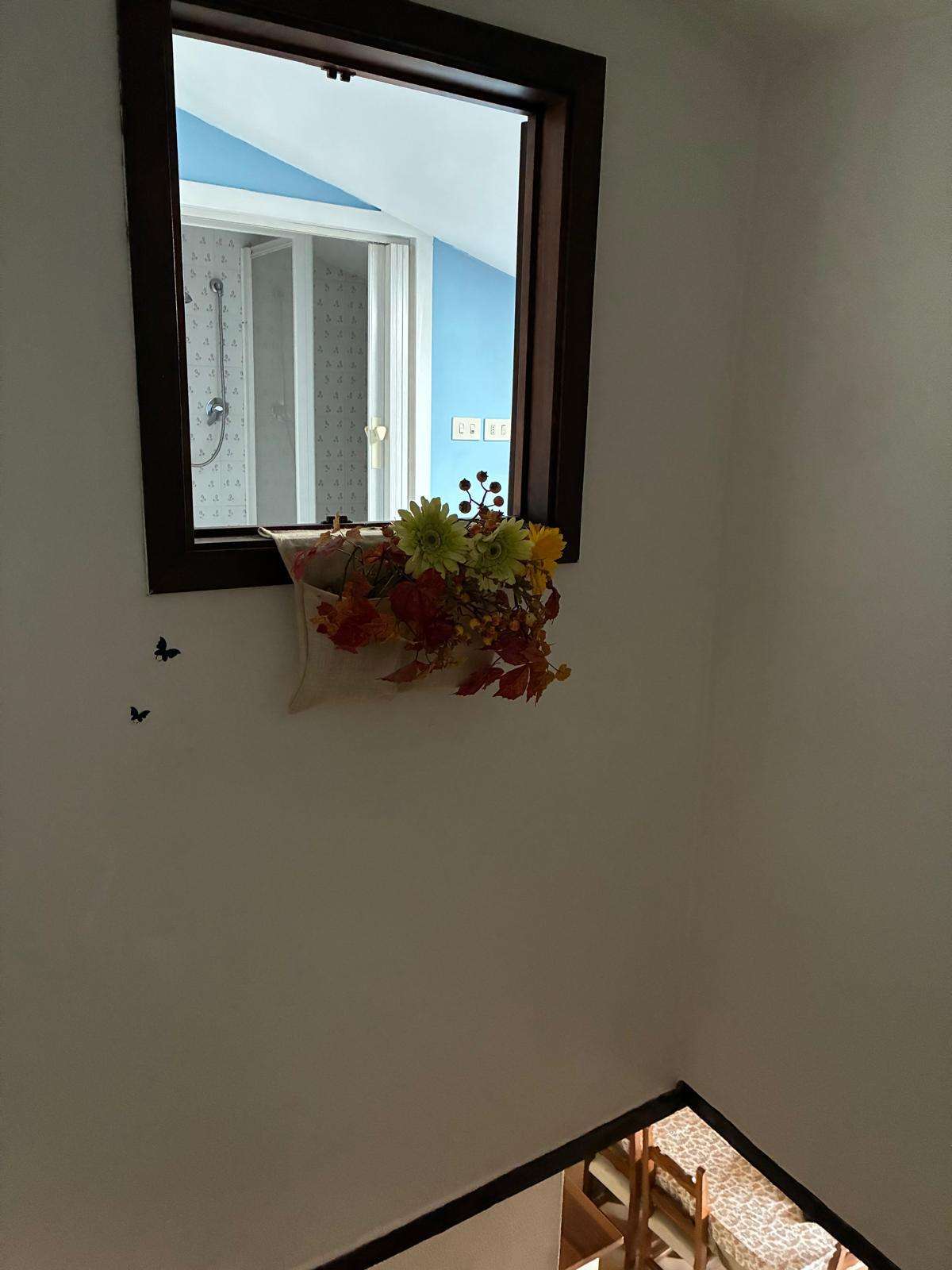  - foto 21