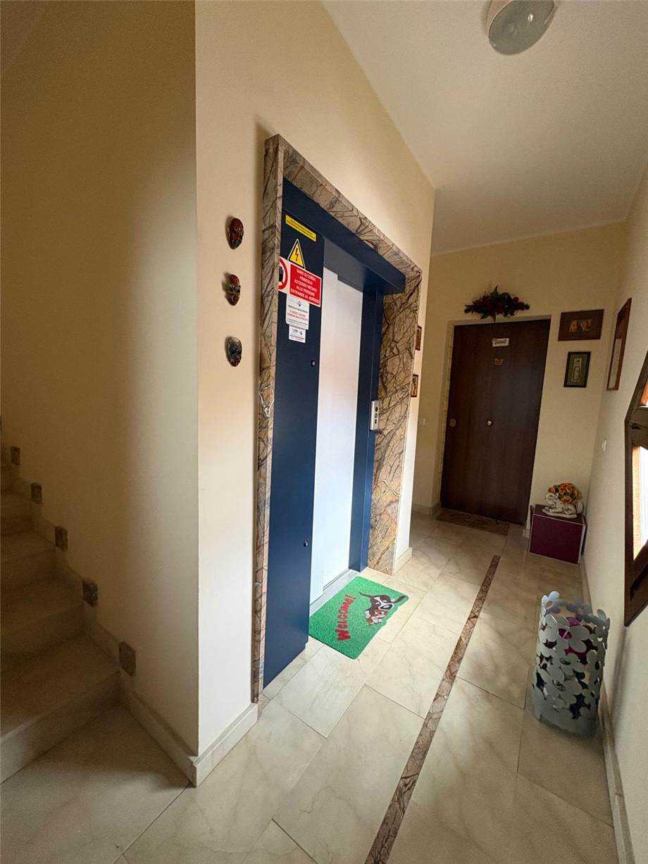  - foto 11