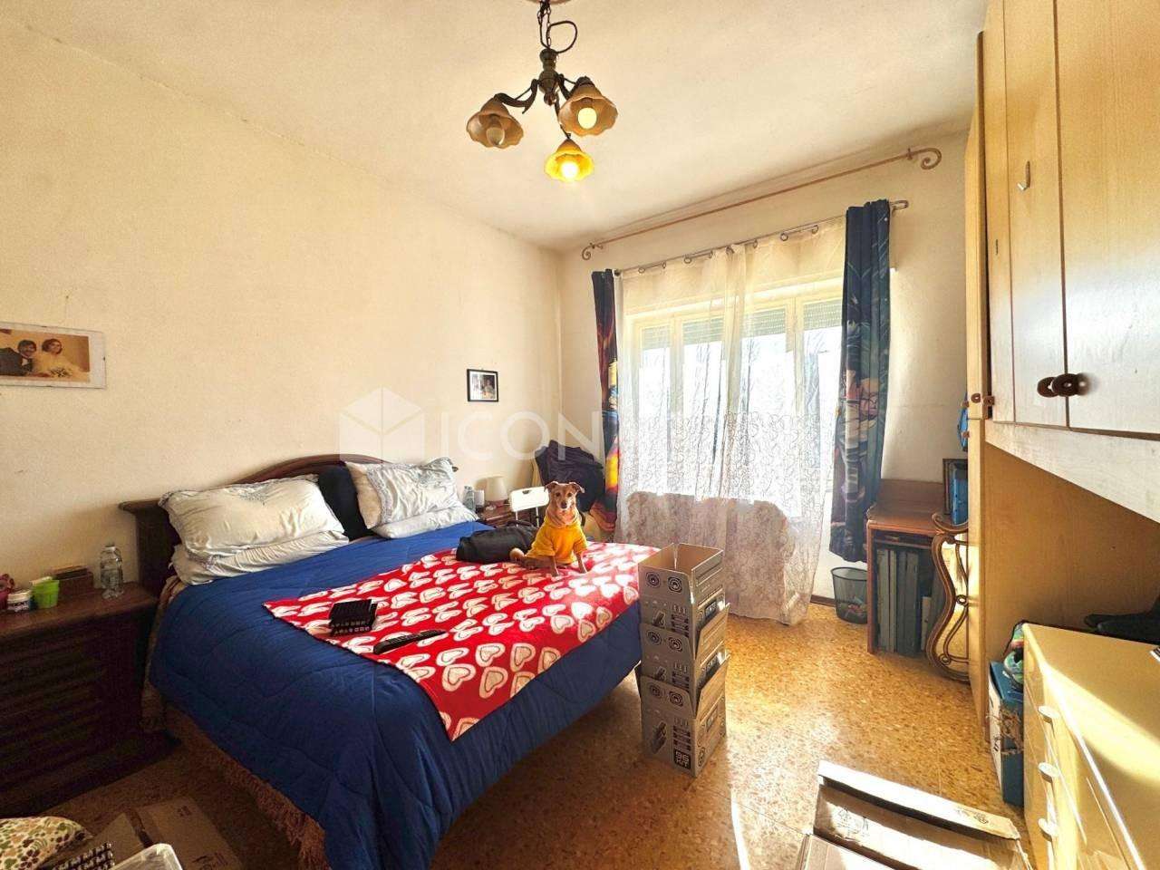  - foto 4
