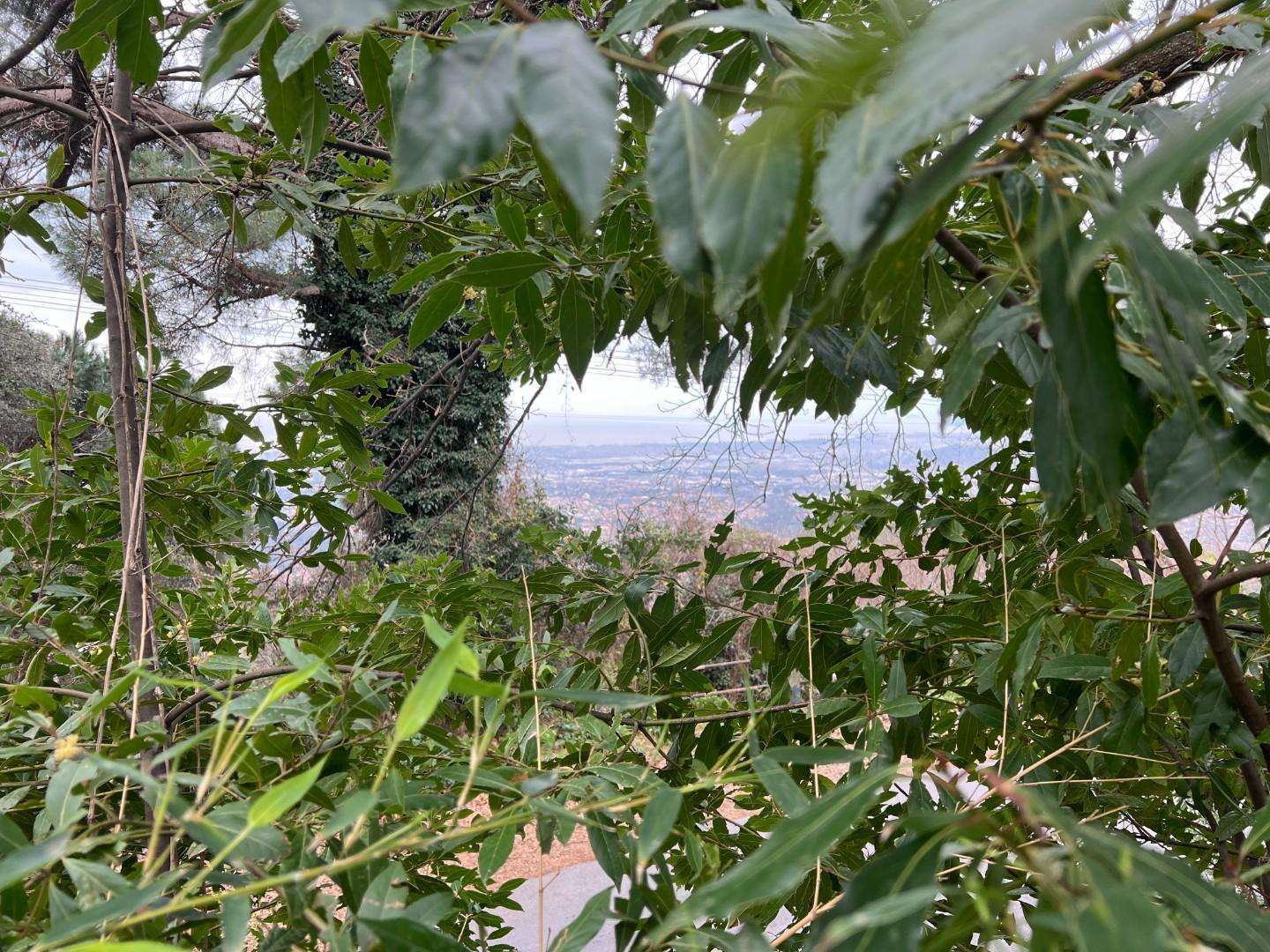  - foto 32