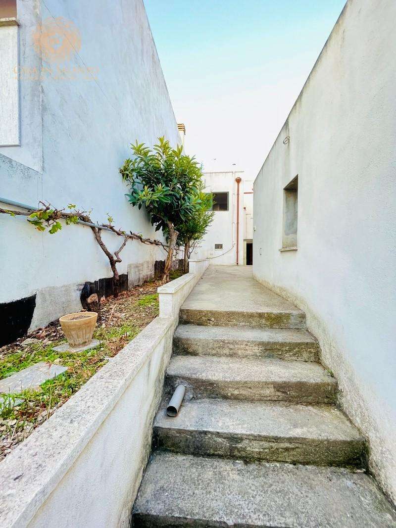  - foto 23