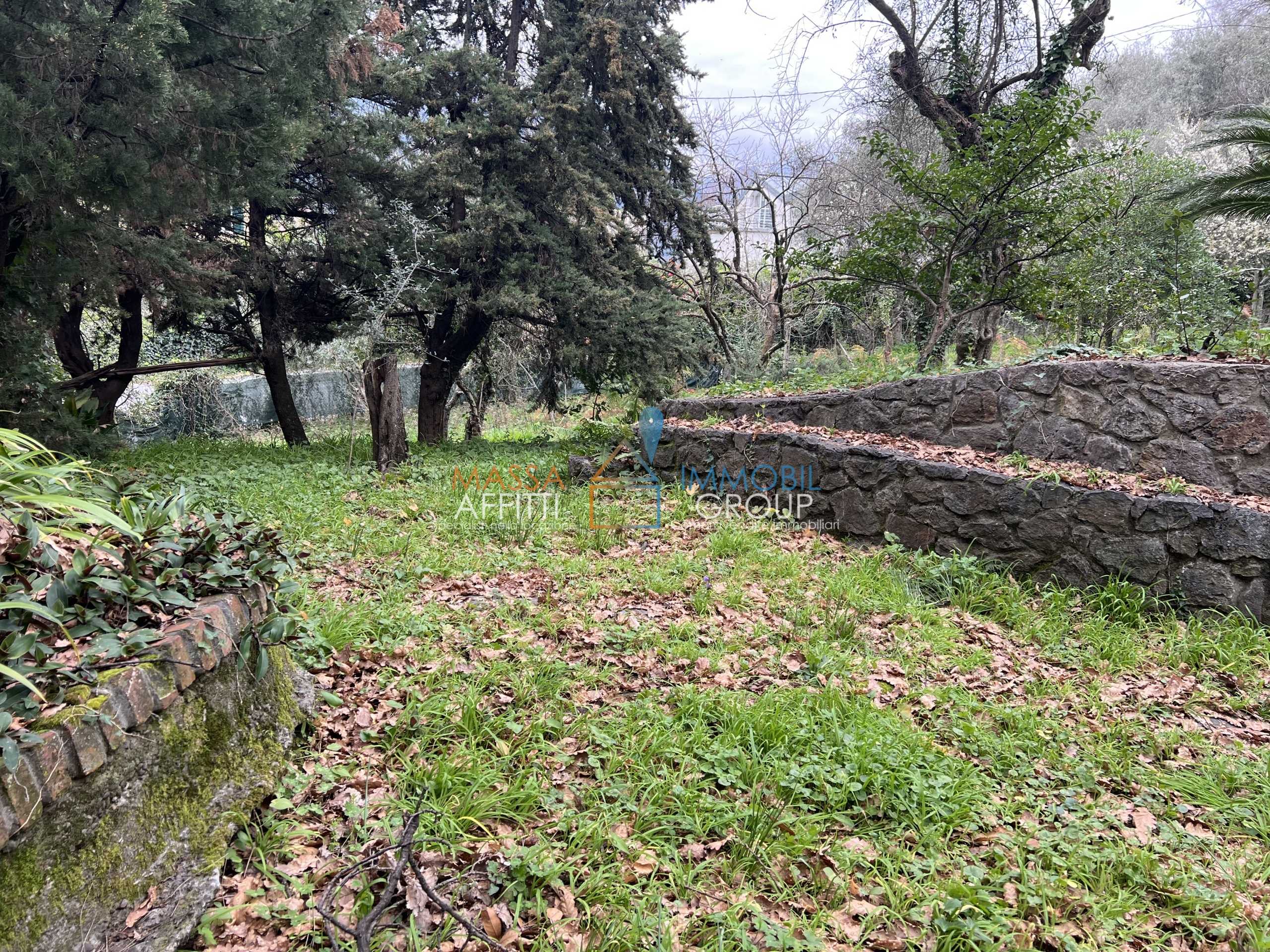  - foto 11