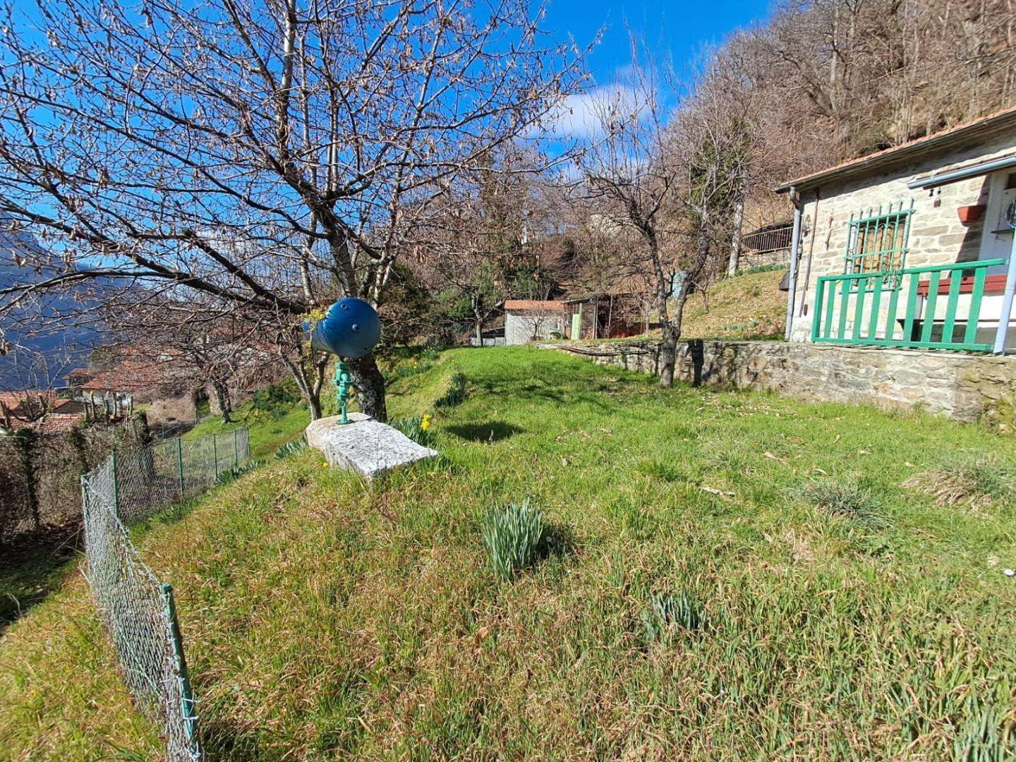  - foto 36
