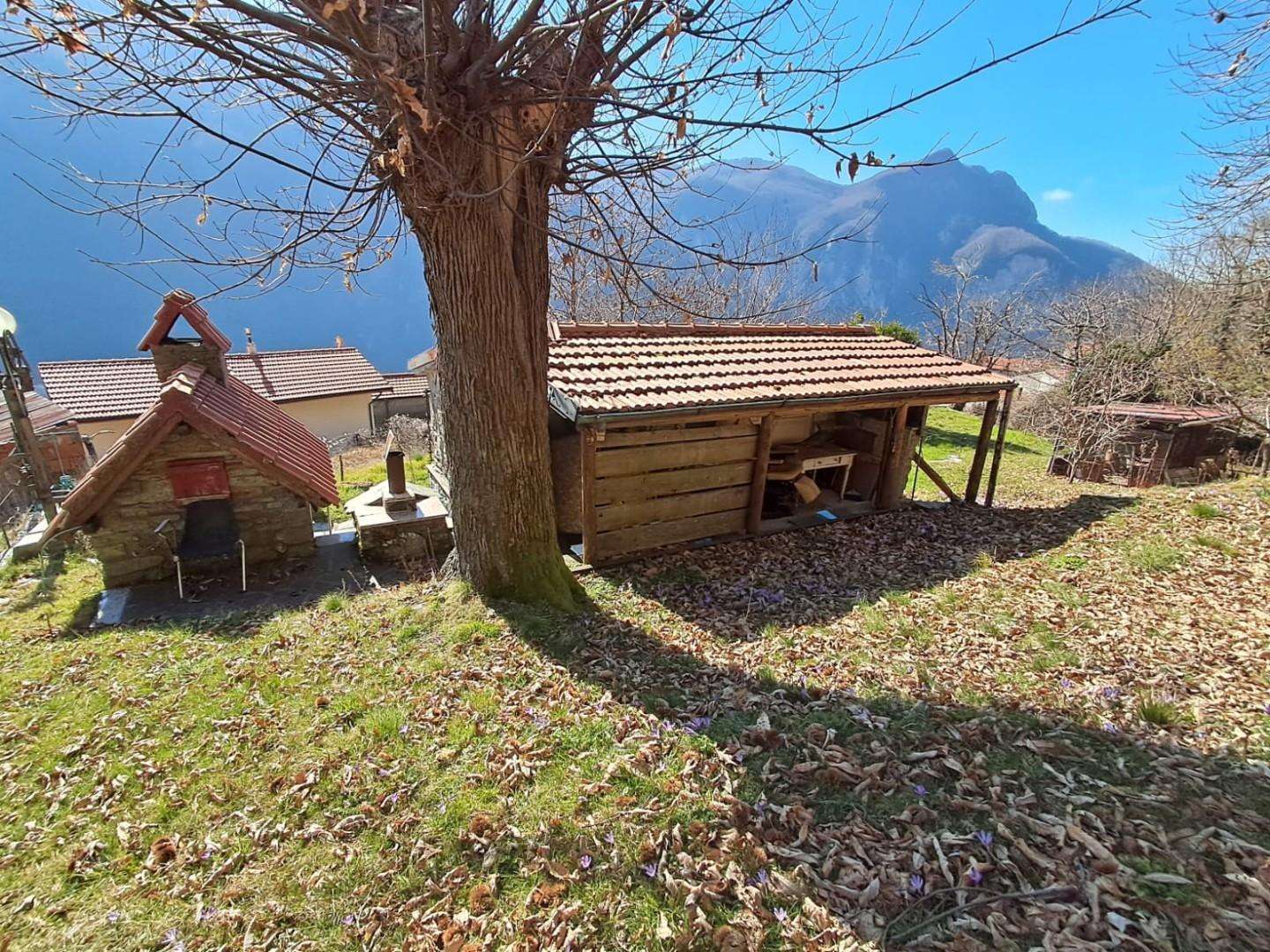  - foto 61